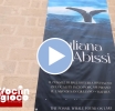 Focus On del 29 febbraio 2024 - Alla scoperta della balena Giuliana